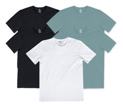 Kit 5 Camisetas Hering Slim Básicas Masculino