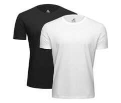 Kit 2 Camisetas Hering Básica Masculino