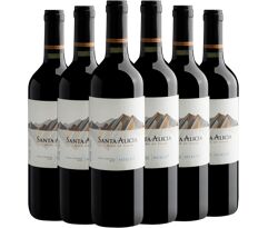 Kit 6 Santa Alicia Merlot Valle Central