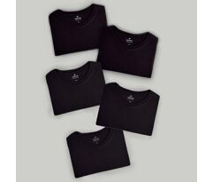 Kit 5 Camisetas Hering Básica Masculina