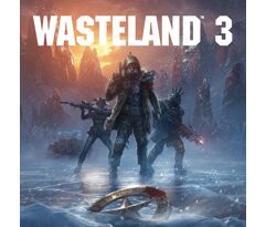 Wasteland 3 para PC