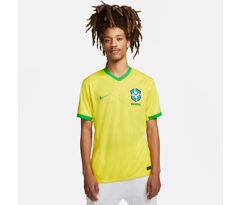 2 Camisas Nike Brasil I 2023/24 Torcedor Pro Masculina